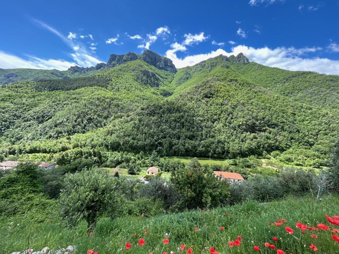 Castelletto With Mountain View Daire Colletta Dış mekan fotoğraf